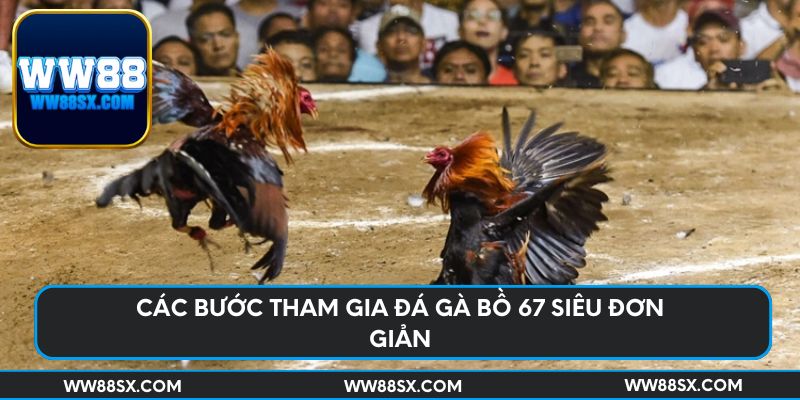 Các bước tham gia đá gà bồ 67 siêu đơn giản
