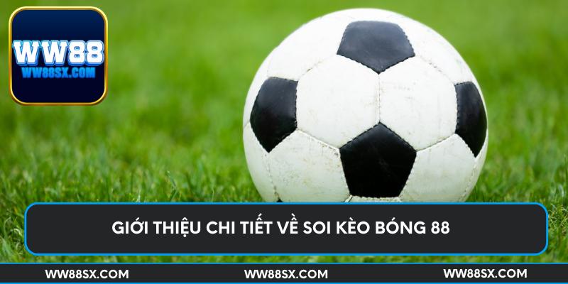 Giới thiệu chi tiết về soi kèo bóng 88