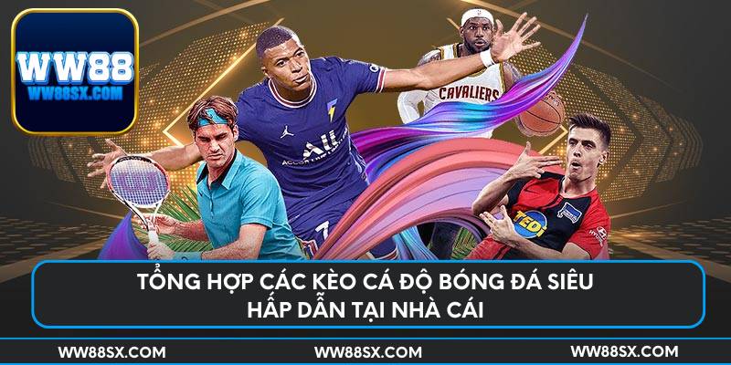 Tổng hợp các kèo cá độ bóng đá siêu hấp dẫn tại nhà cái