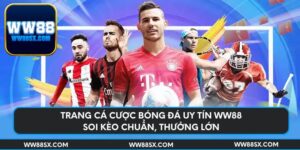 trang-ca-cuoc-bong-da-uy-tin-ww88-soi-keo-chuan-thuong-lon