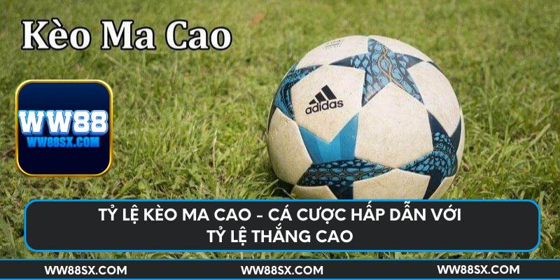 ty-le-keo-ma-cao-ca-cuoc-hap-dan-voi-ty-le-thang-cao